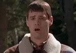 Dumb And Dumber Jim Carrey GIF - Dumb And Dumber Jim Carrey Vomit - Discover & Share GIFs