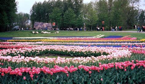 Tillie's Nest, Notes and Nostalgia: Floriade in The Netherlands