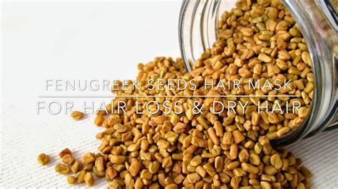 Fenugreek seeds hair mask. Methi seeds for Hair growth- hair regrowth ...