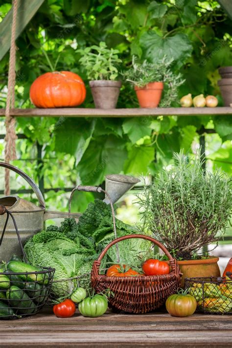 Premium Photo | Summer harvest in the garden with vegetables and fruits