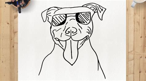 How to Draw Pit-bull Dog, Dog in Sunglasses Sketch, Step by Step Dog ...