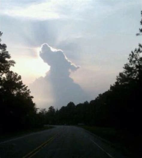 Dog Shaped Clouds Have People Convinced That All Dogs Really Do Go To ...