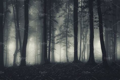 Dark haunted forest at night containing dark, forest, and fog | Haunted forest, Night forest ...