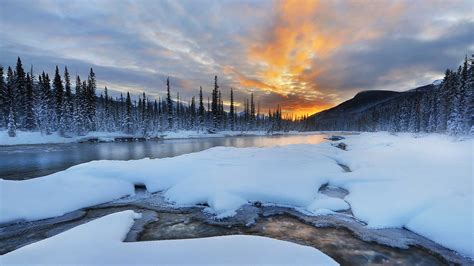 Snowy Sunrise – Bing Wallpaper Download