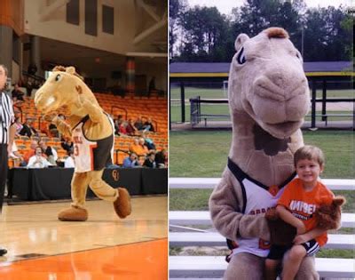 sport life: 10 Weirdest College Mascots