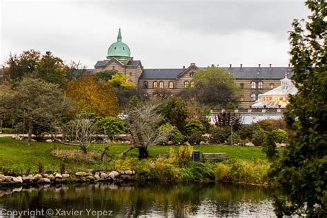 Xavier Yepez Photography | Copenhagen, Denmark – Botanical Garden – 3