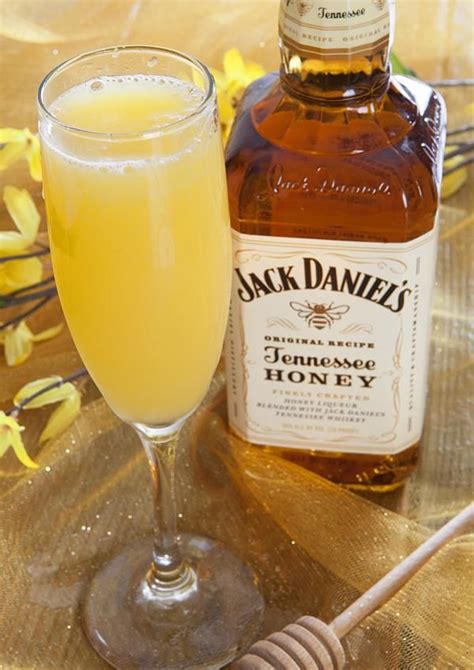 Top 10 Jack Daniel’s Whiskey Drinks with Recipes - Only Foods