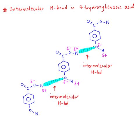 Intramolecular vs Intermolecular Hydrogen Bond