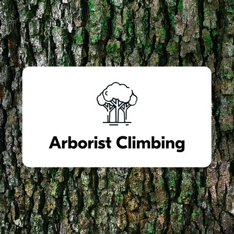 Arborist Climbing Rope — ROPE.com