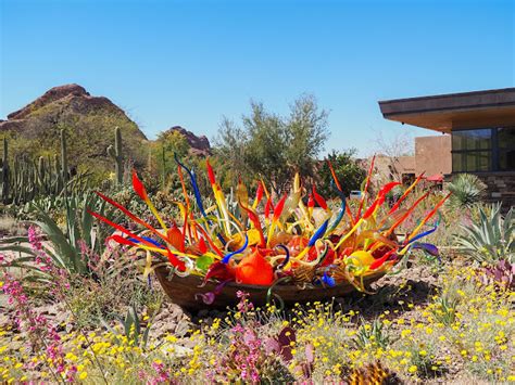 Little Hiccups: Desert Botanical Garden in Phoenix, Arizona