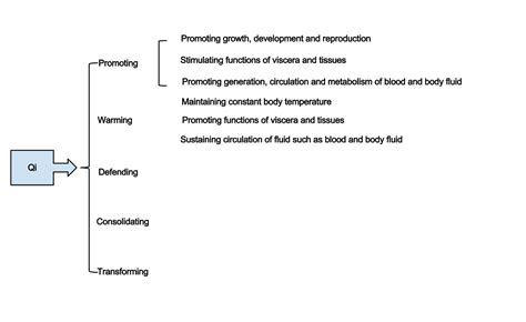 Qi - TCM Wiki