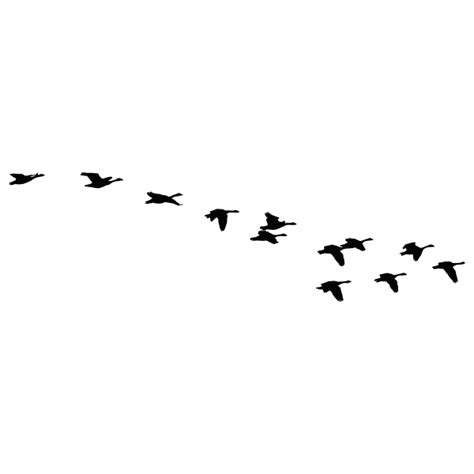 Flock of flying geese silhouette | Free SVG