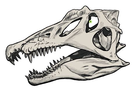 Inktober Catch-up 20: Spinosaurus Skull by Girasols-reflection on ...