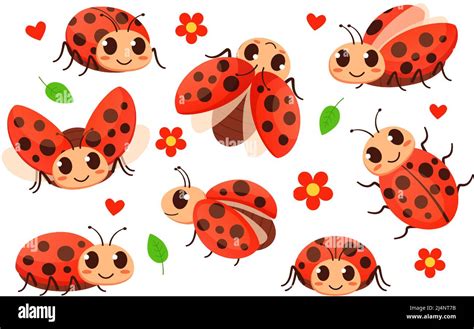 Lady bugs flower Cut Out Stock Images & Pictures - Alamy