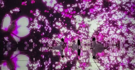 teamLab Planets TOKYO, Digital Art Museum Entrance Ticket - SuiteTrails