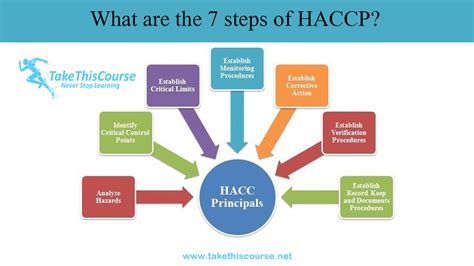 What are the 7 steps of HACCP?