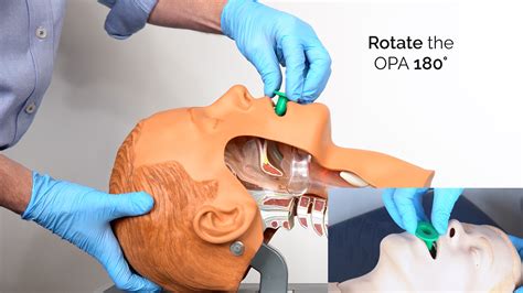 On X: An Oropharyngeal Airway Is A Basic Airway Adjunct , 60% OFF