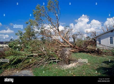 Damage caused by Hurricane Andrew, Miami, Florida, USA Stock Photo - Alamy