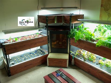 Aquaponics system, Aquaponics, Aquaponics diy