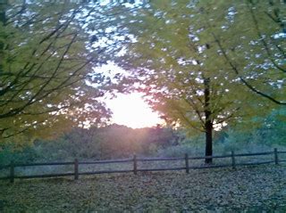Fall Sunrise In High Park | This picture was taken by my pho… | Flickr