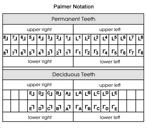 Dental Charts to Understand Tooth Numbering System | Dental charting ...