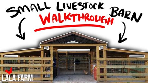 Small Livestock Barn Build - Complete Walk Through - YouTube