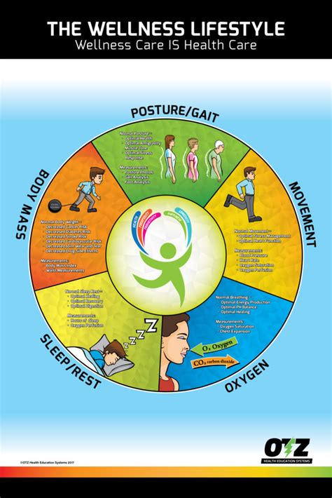 The Wellness Lifestyle Poster – OTZ Health Education Systems