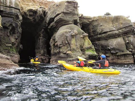 La Jolla Sea Cave Kayaks: We are OPEN!