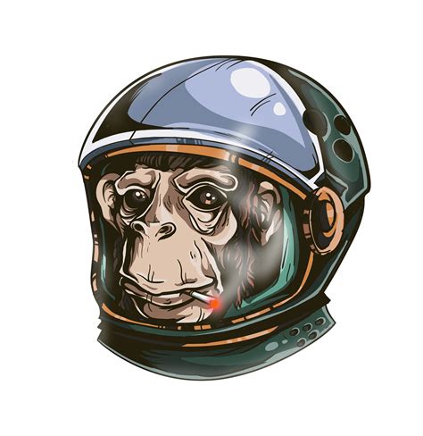 Space monkey. on Behance