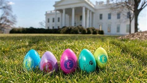 White House Easter Eggs Available For Purchase, Now With More Bo ...