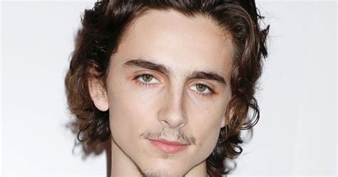 Timothee Chalamet's Mustache, Fan Reactions