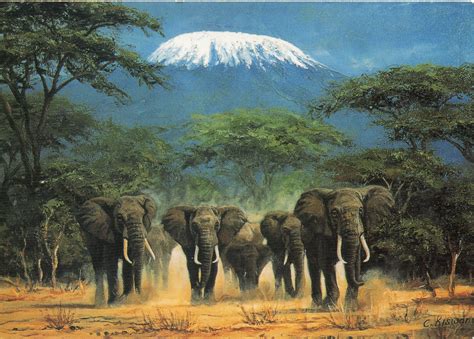 UNESCO-gforpcrossing: Tanzania - Kilimanjaro National Park