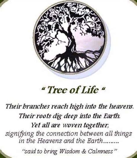 Tree Of Life Meaning