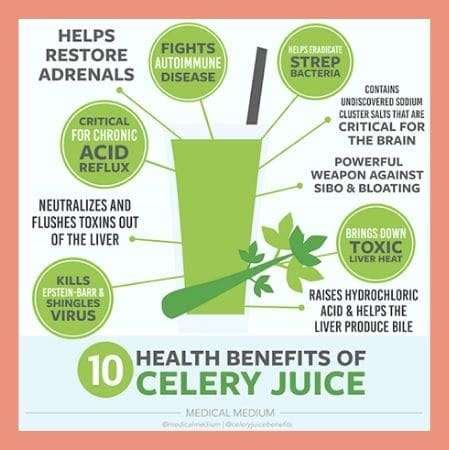 Celery Juice Benefits & How To Guide - Deliciously Allergy Free