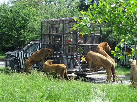 Bangkok - Safari World