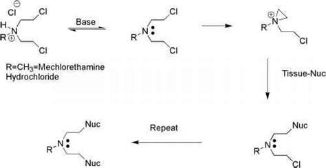 Nitrogen Mustards - Pharmaceutical Chemistry