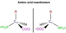 Stereochemistry of Amino Acids - Chemistry LibreTexts