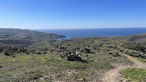 11 Catalina Island Hiking Trails to Enjoy - Go Travel California