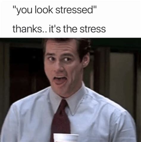 30 Memes About Stress That Will Make You Care A Bit Less - Feels Gallery | eBaum's World