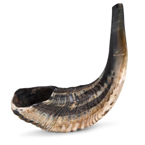 Shofar Buying Guide: What to Know Before You Buy a Shofar