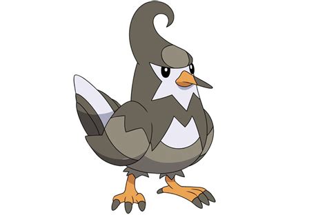 9 Pigeon Based Pokemon - NE Pigeon Supplies