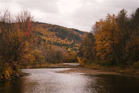 River flowing between autumn trees · Free Stock Photo