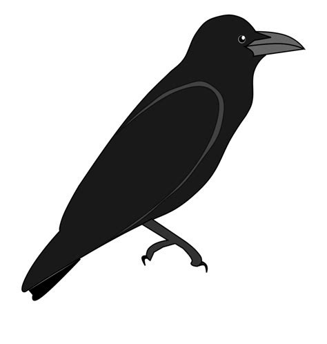 crow outline clip art 20 free Cliparts | Download images on Clipground 2024