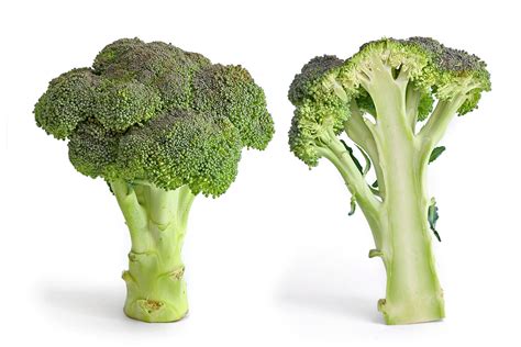 Broccoli - Wikipedia