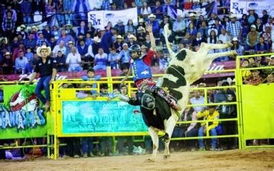 Imagenes De Toros De Jaripeo - leevandnbrink.blogspot.com