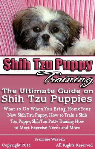 Buy Shih Tzu Puppy Training: The Ultimate Guide on Shih Tzu Puppies, What to Do When You Bring ...