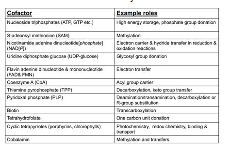 Cofactor examples and uses Diagram | Quizlet