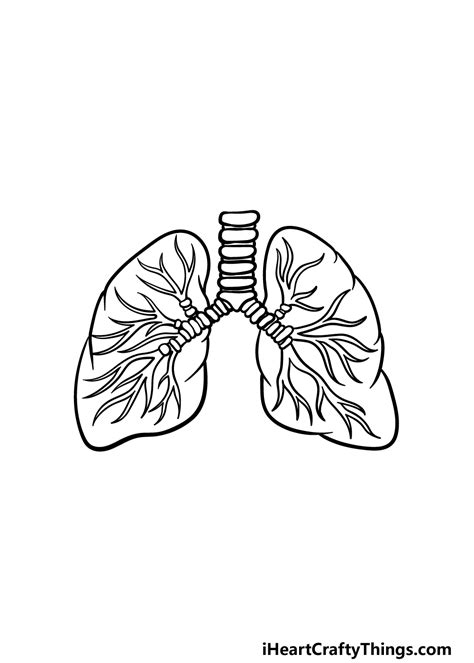 Aggregate more than 133 lungs easy drawing best - seven.edu.vn