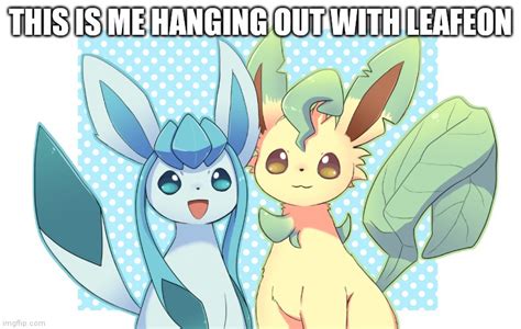 Image tagged in glaceon x leafeon 4 - Imgflip