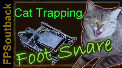 Feral Cat Trapping with the Foot Snare - YouTube